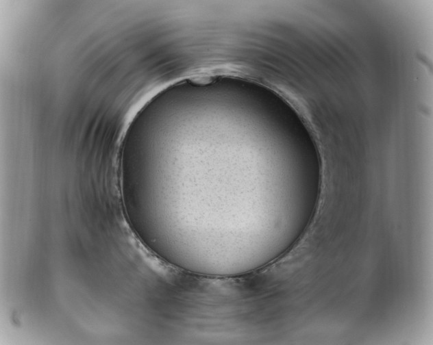 X0000100420816200806131057