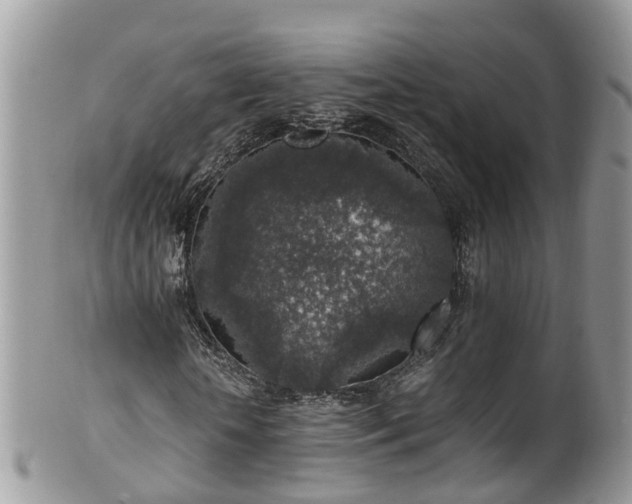 X0000100420818200806131057