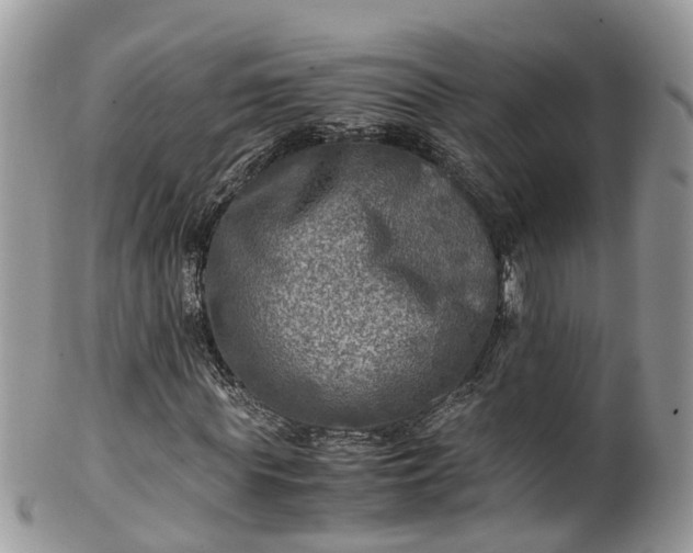 X0000100420819200806131057