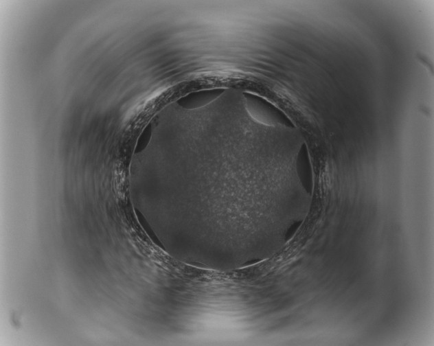 X0000100420822200806131057