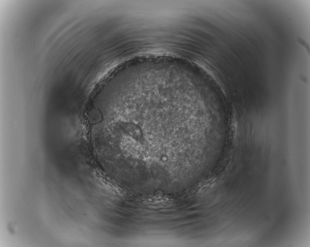 X0000100420823200806131057