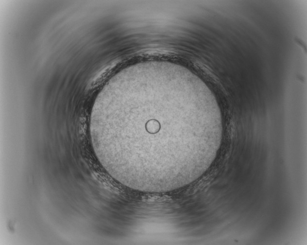X0000100420824200806131057