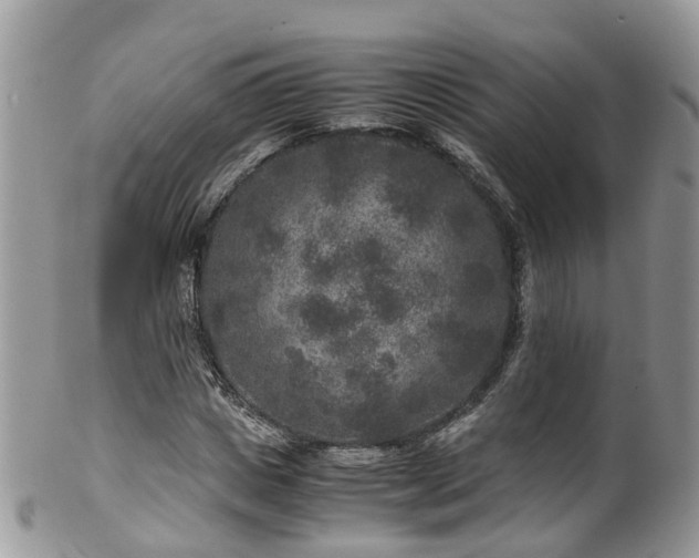 X0000100420825200806131057