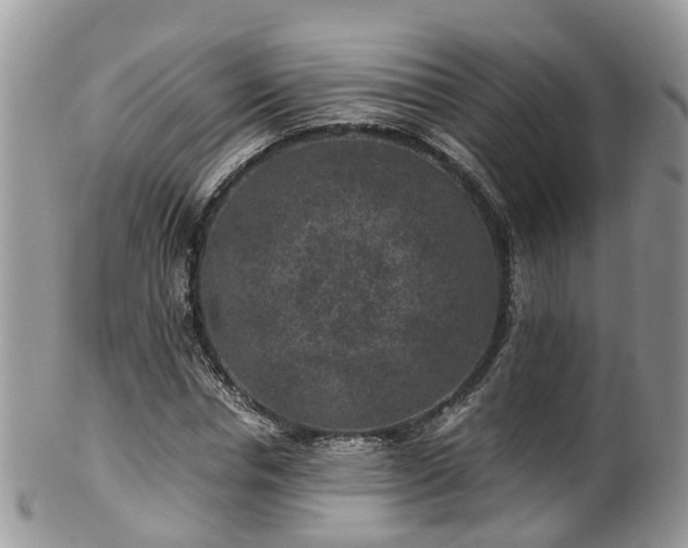 X0000100420826200806131057