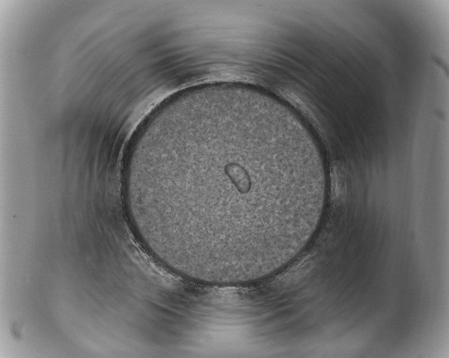 X0000100420828200806131057