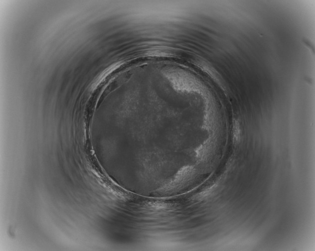 X0000100420829200806131057