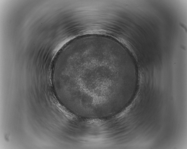 X0000100420830200806131057