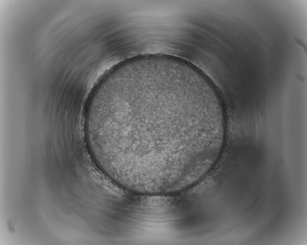 X0000100420832200806131057