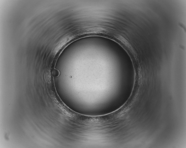 X0000100420834200806131057