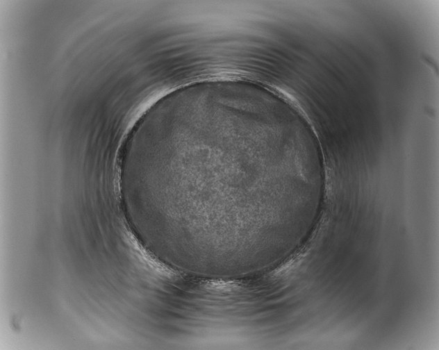 X0000100420835200806131057