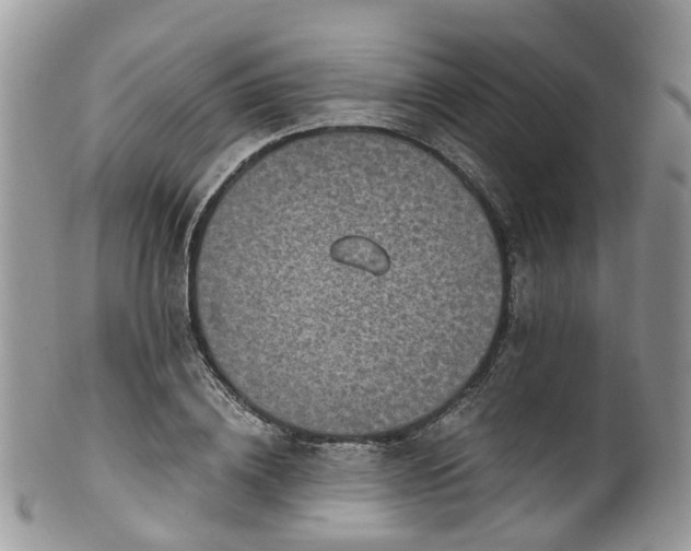 X0000100420836200806131057