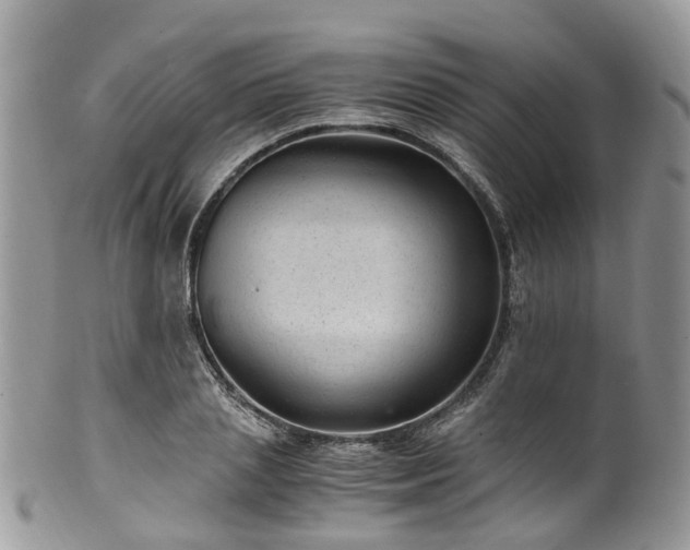 X0000100420837200806131057