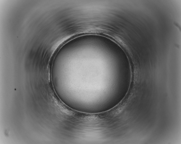 X0000100420838200806131057