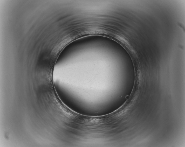 X0000100420841200806131057