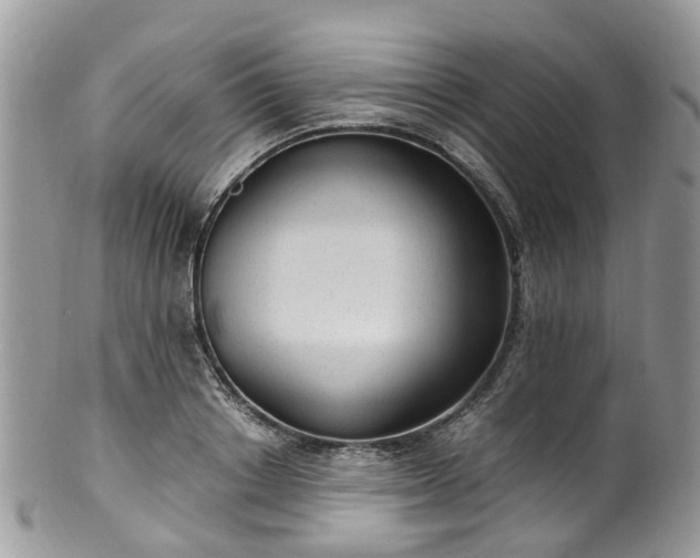 X0000100420842200806131057