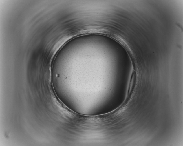 X0000100420844200806131057