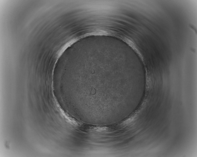 X0000100420845200806131057