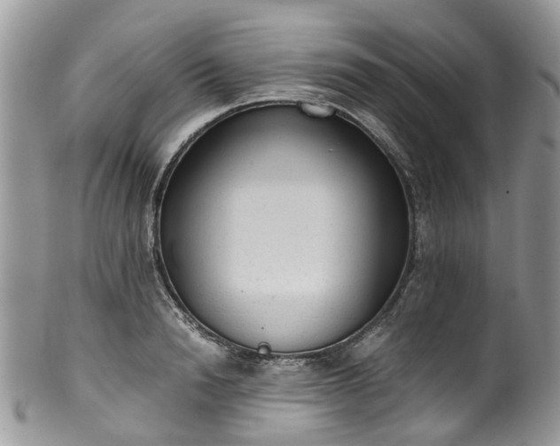 X0000100420846200806131057