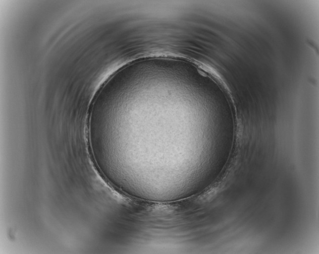 X0000100420847200806131057