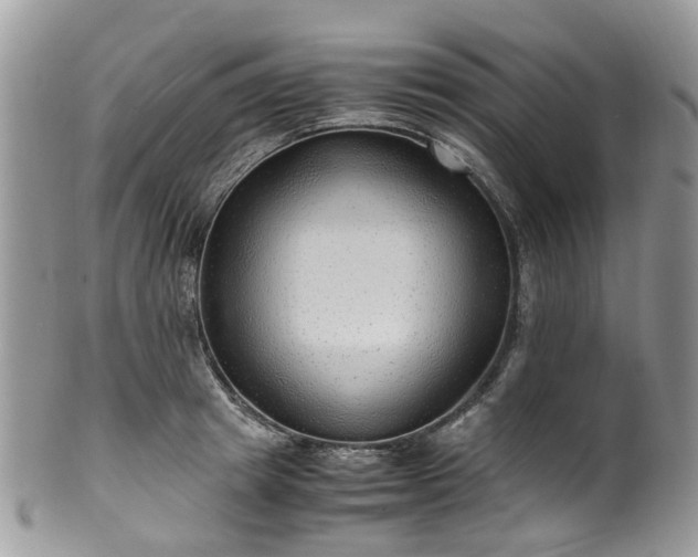 X0000100420849200806131057