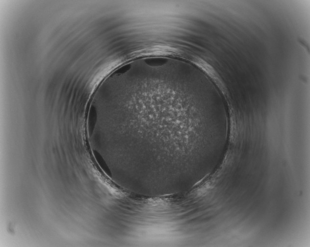 X0000100420850200806131057