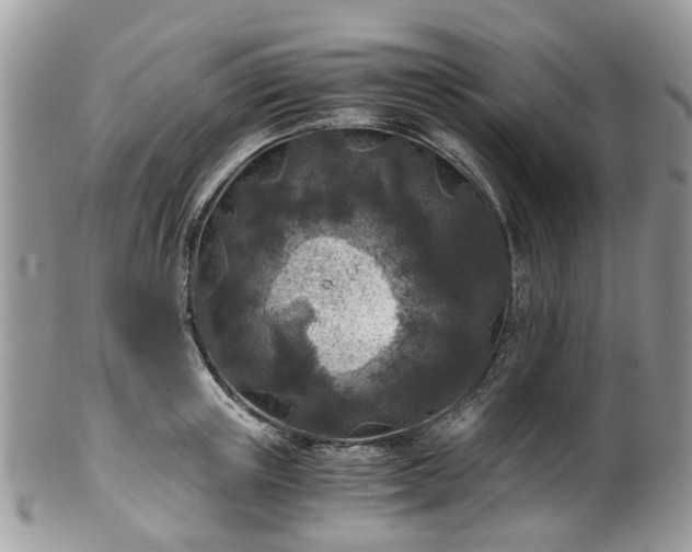 X0000100420851200806131057