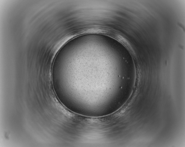 X0000100420852200806131057