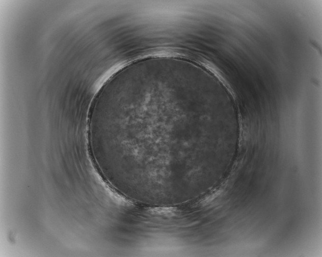 X0000100420853200806131057