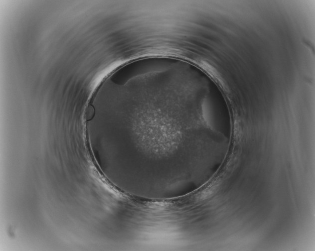 X0000100420854200806131057