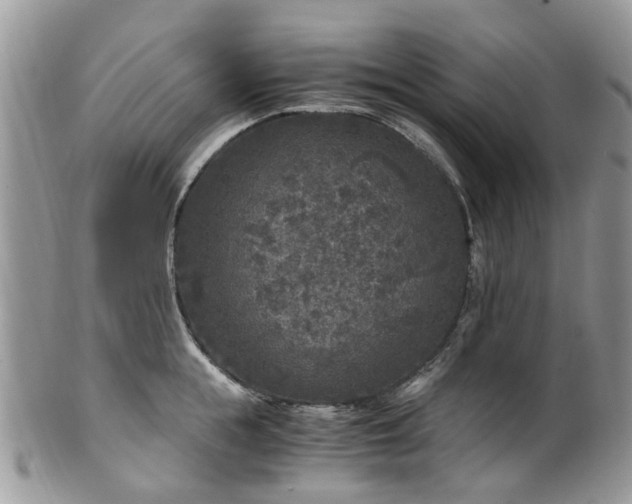 X0000100420855200806131057