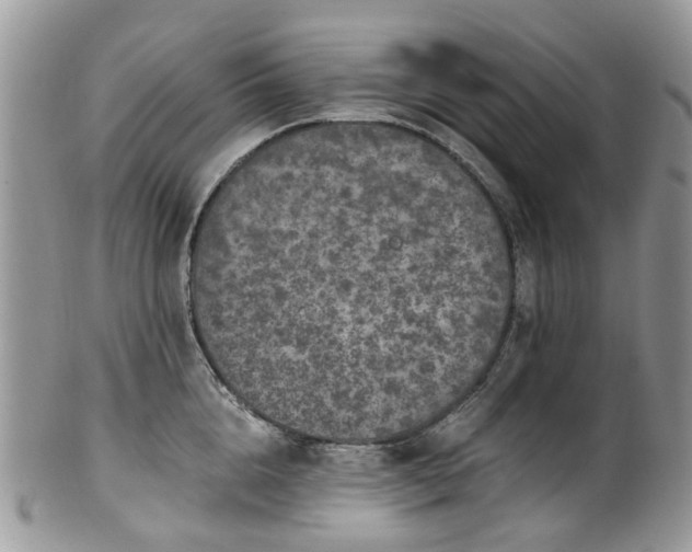 X0000100420856200806131057
