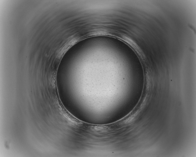 X0000100420857200806131057