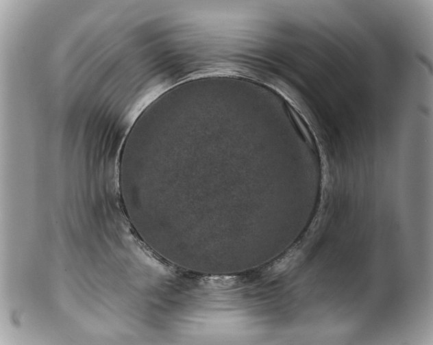X0000100420858200806131057