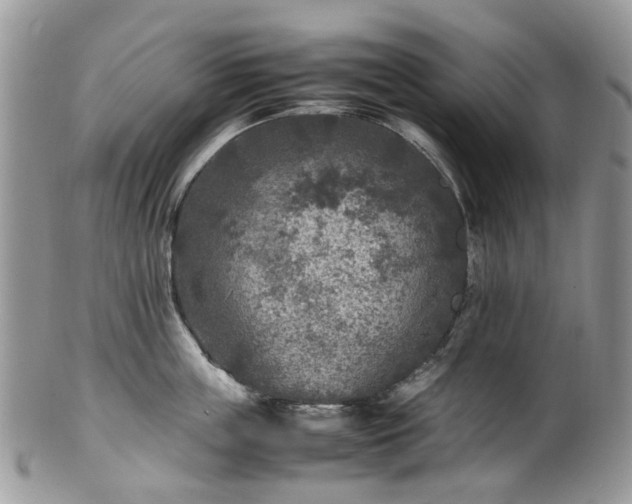X0000100420859200806131057