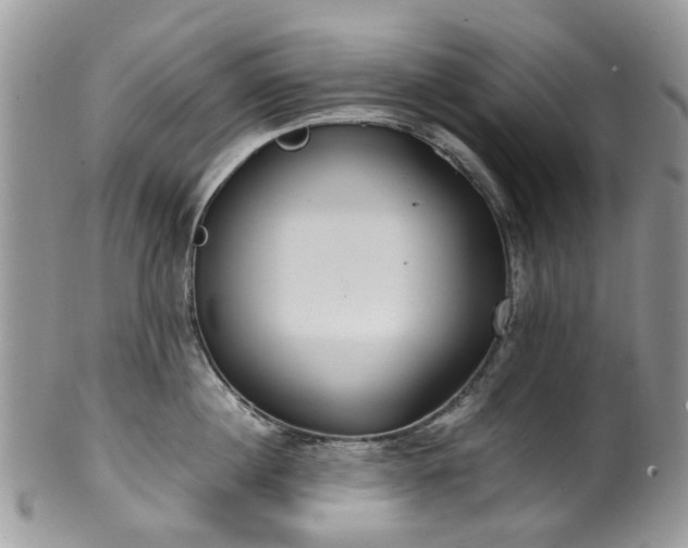 X0000100420860200806131057