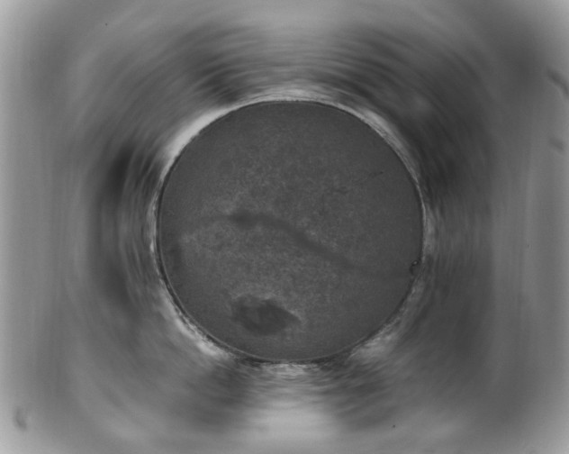 X0000100420862200806131057