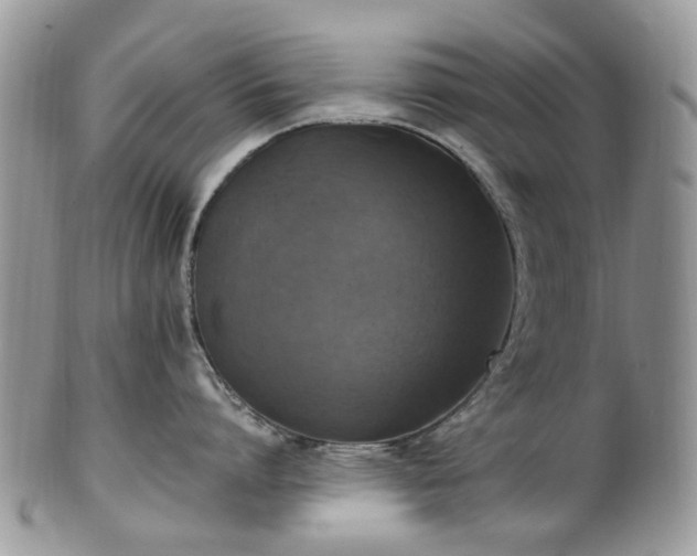 X0000100420864200806131057