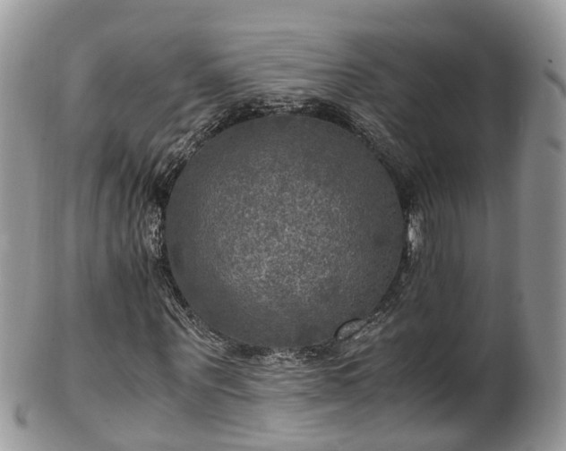 X0000100420867200806131056