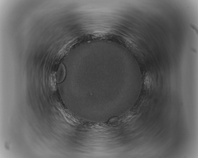 X0000100420868200806131056