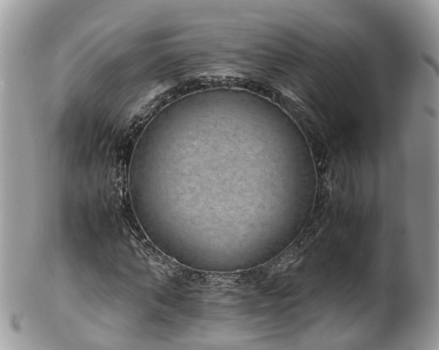 X0000100420870200806131056