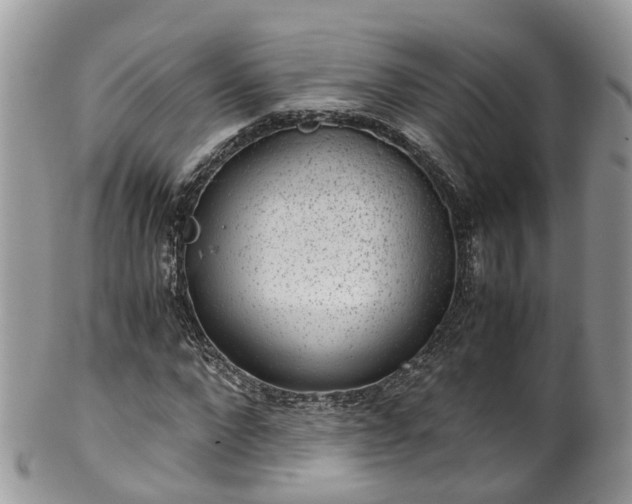 X0000100420872200806131056