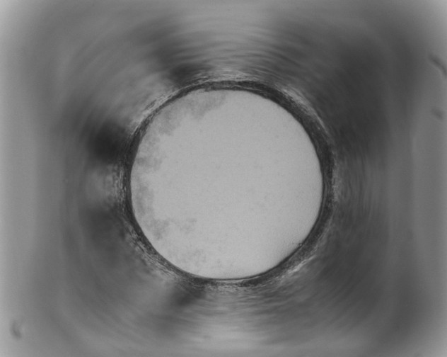 X0000100420873200806131056
