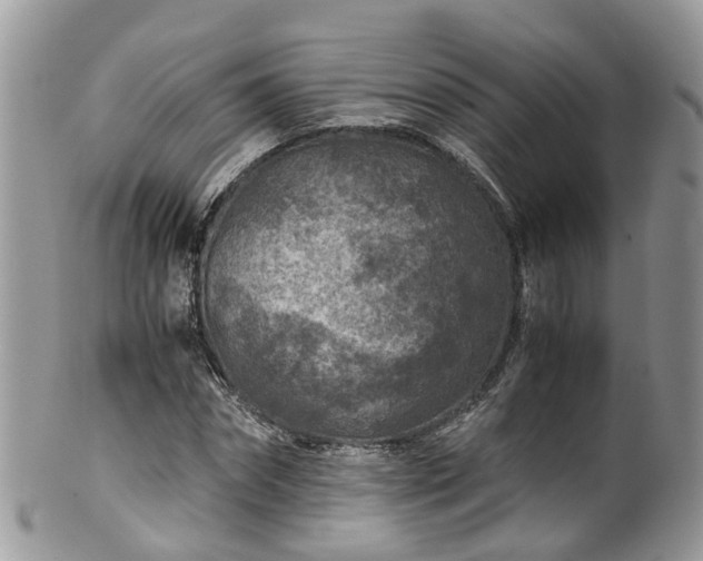 X0000100420874200806131056
