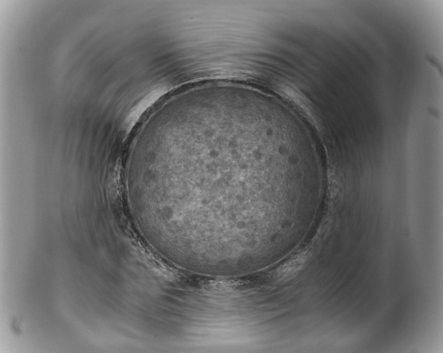 X0000100420875200806131056