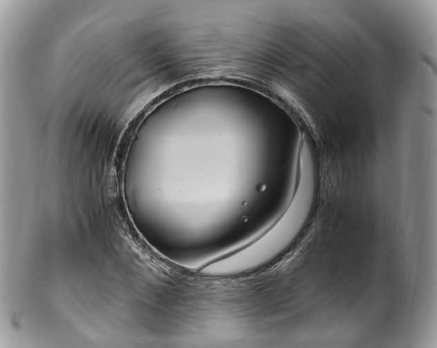 X0000100420876200806131056