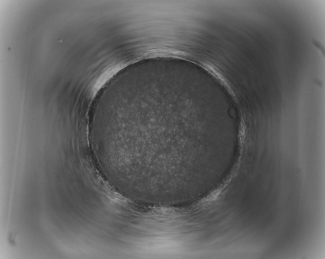 X0000100420877200806131056