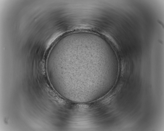 X0000100420878200806131056