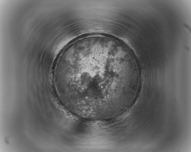 X0000100420879200806131056