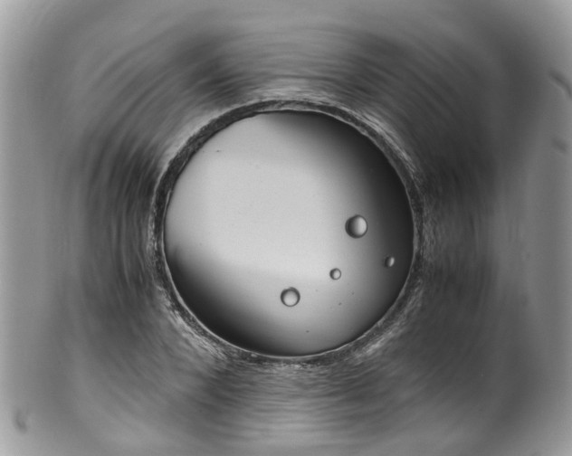 X0000100420880200806131056