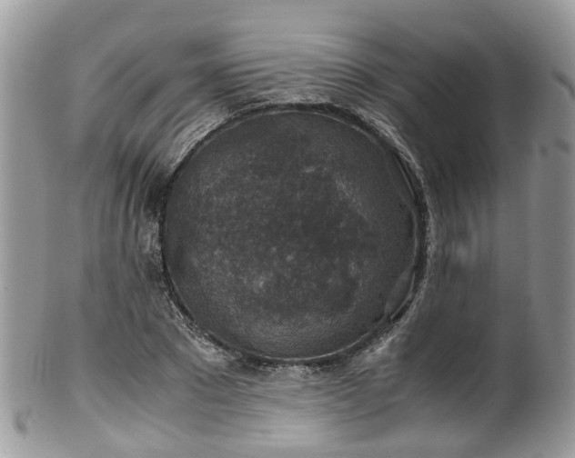 X0000100420881200806131056